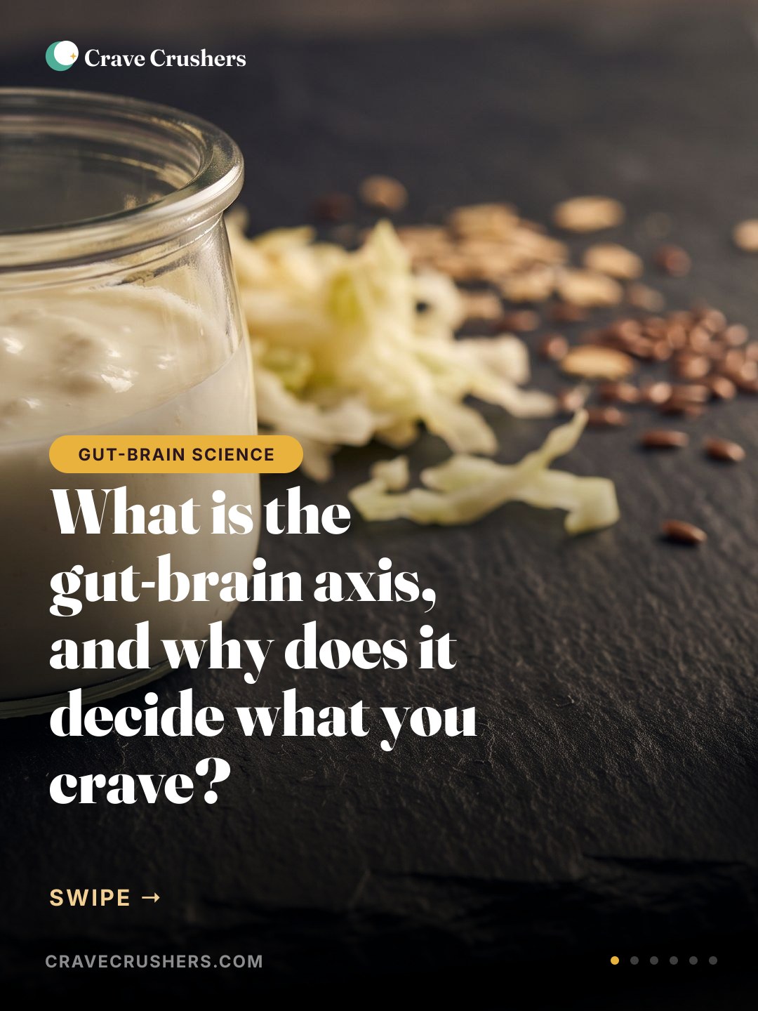 What Is the Gut-Brain Axis, and Why Does It Decide What You Crave?