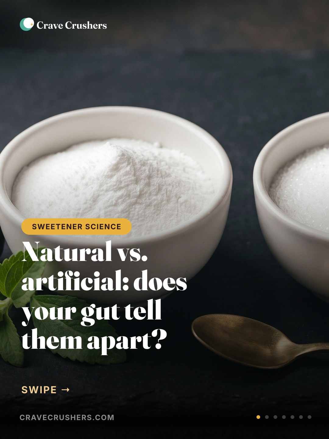 Natural vs. Artificial Sweeteners: Does Your Gut Tell Them Apart?